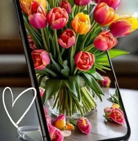 Kabakum Апартаменти Варна