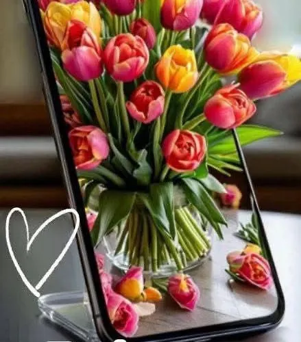 Kabakum Apartment Varna